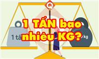 Cách Đổi Đơn Vị Đo Lường: 1 Tấn Bằng Bao Nhiêu Kg?