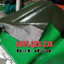 BẠT DỨA XANH BỘ ĐỘI