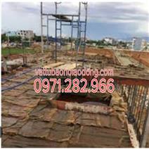 BAO TẢI QUẤN  THÂN CÂY